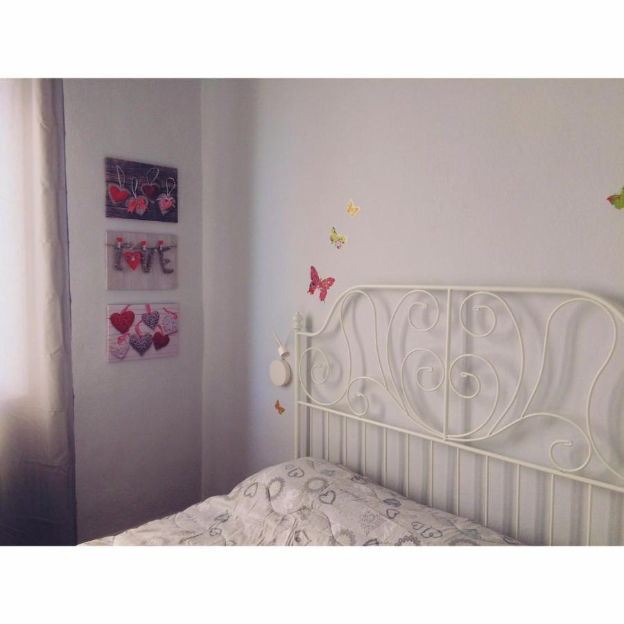 Le Cascine Bed & Breakfast Pisa Exterior photo